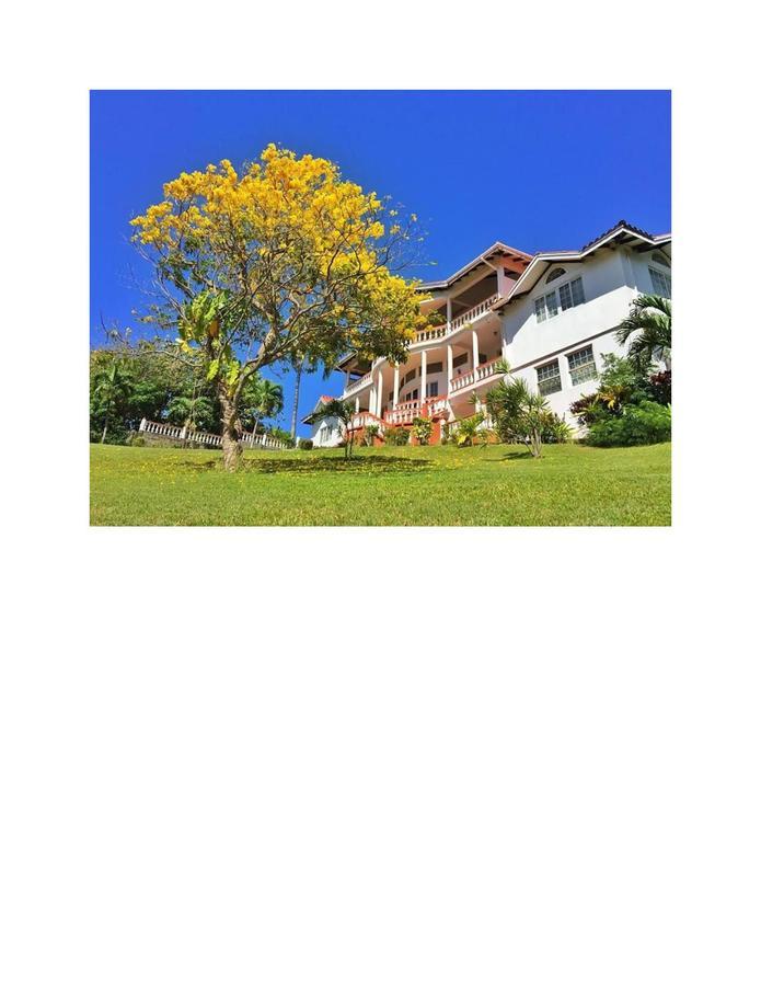 Hotel Alexandrina Kingstown Exterior photo